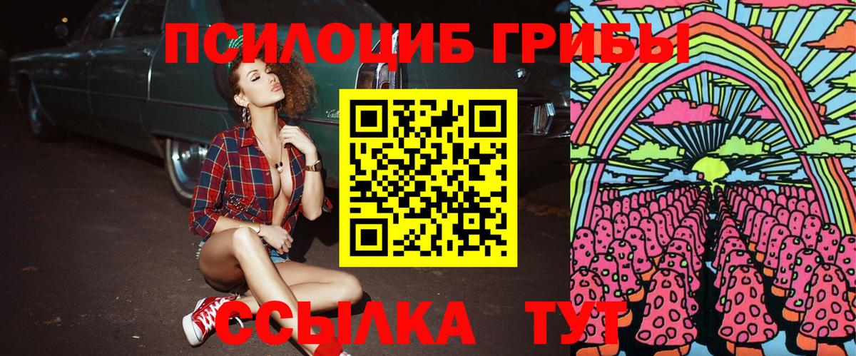сколько стоит  Вход с VPN  Качканар  Галлюциногенные грибы Magic Shrooms 