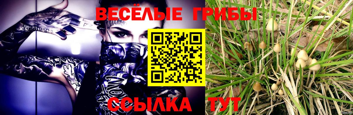 Псилоцибиновые грибы MAGIC MUSHROOMS Качканар